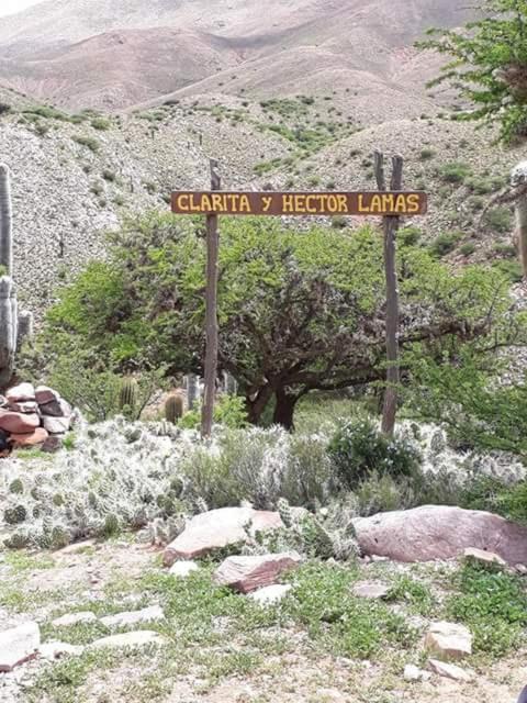 Casa De Campo Clarita Y Hector Ovara エクステリア 写真